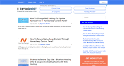 Desktop Screenshot of payinghost.com